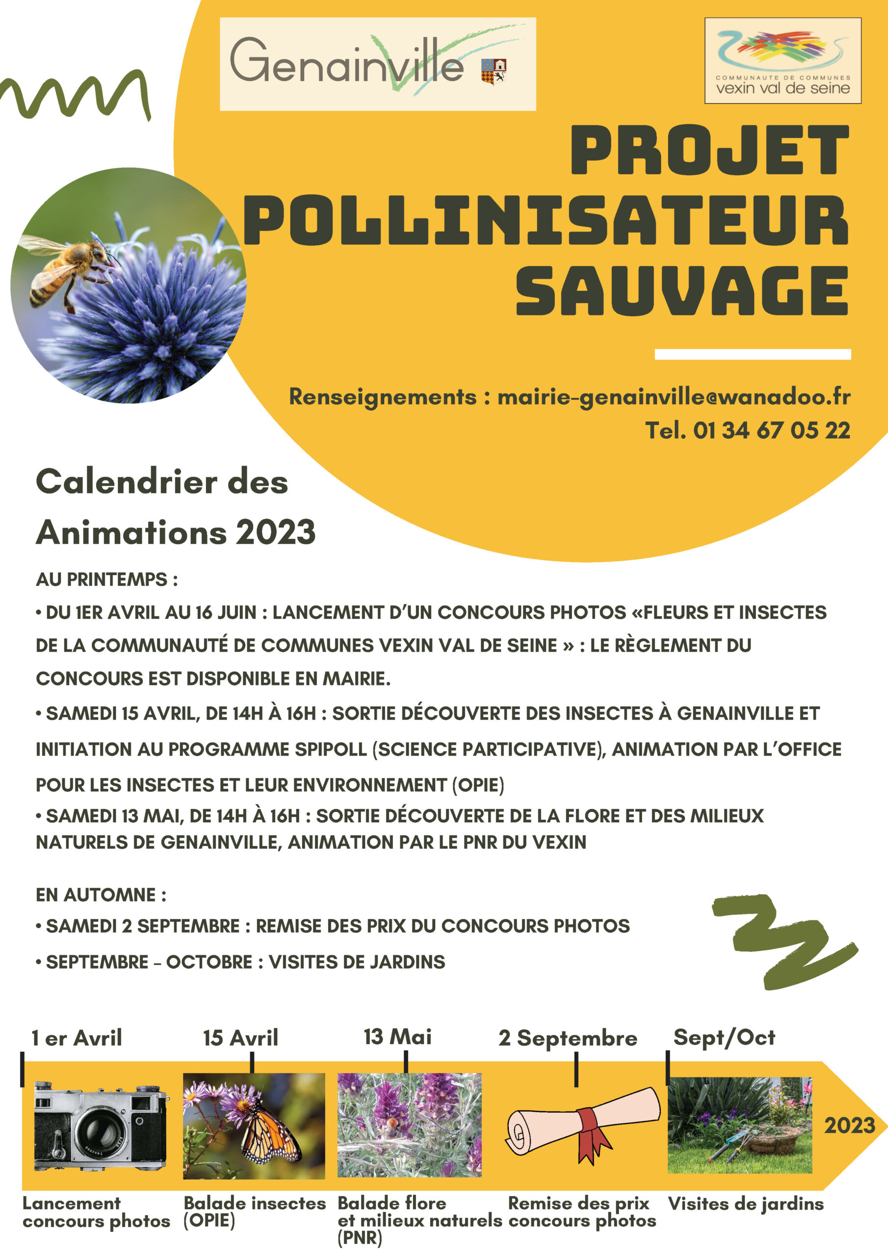 Projet Pollinisateur sauvage